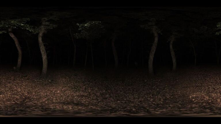 Restless Spirit